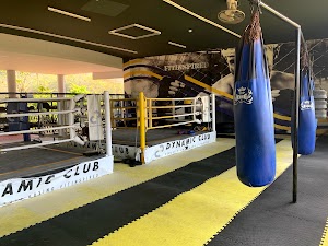 Dynamic Club Phuket - Home of CrossFit DCHKT & Muay Thai place picture