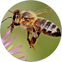 Michael “Mike C” C profile picture