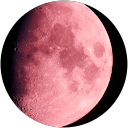 望月靖仁 profile picture