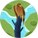 屋良朝泰 profile picture